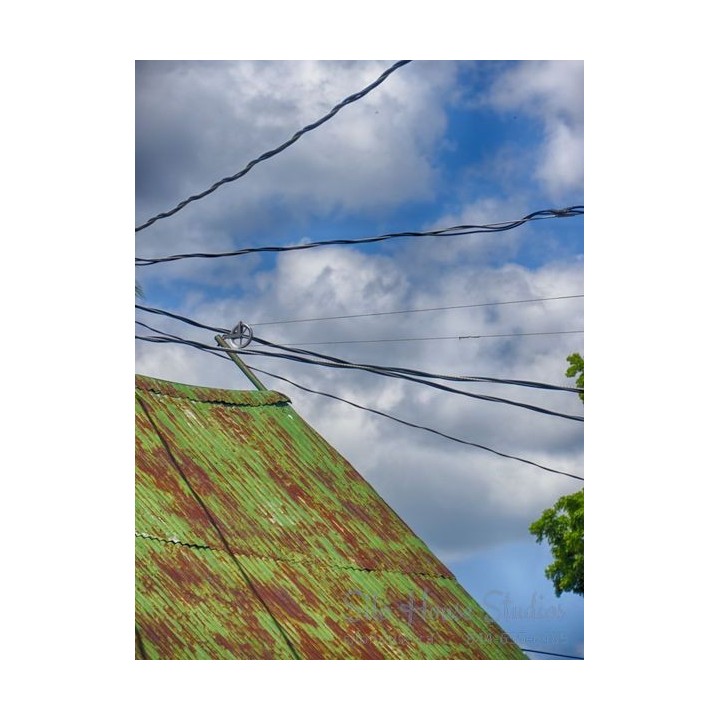 Green Roof with Wires