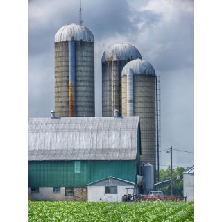 Three Silos