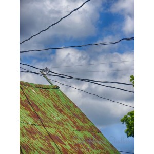 Green Roof with Wires